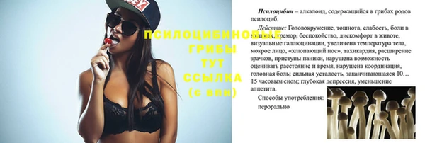 гидра Заволжье