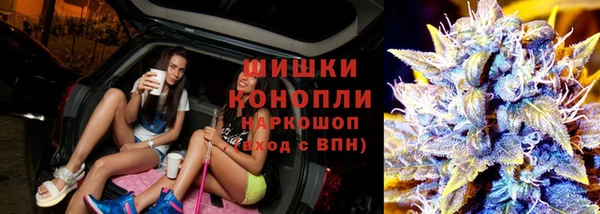 прущий лед Заводоуковск