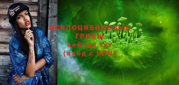 гидра Заволжье