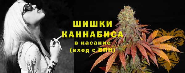 гидра Заволжье