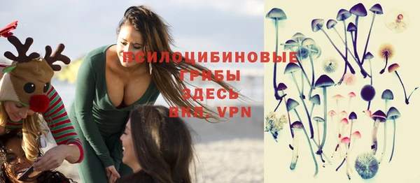прущий лед Заводоуковск