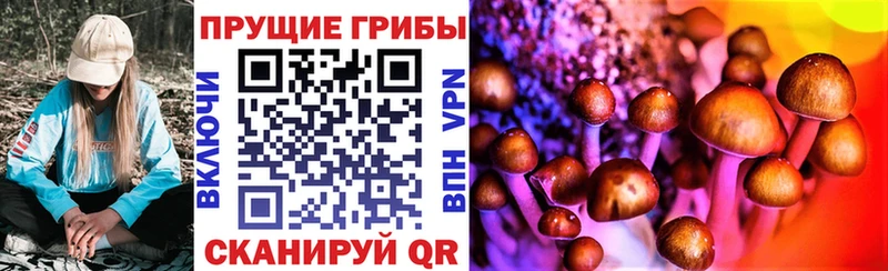 Псилоцибиновые грибы GOLDEN TEACHER  где купить наркоту  omg ссылка  Тавда 